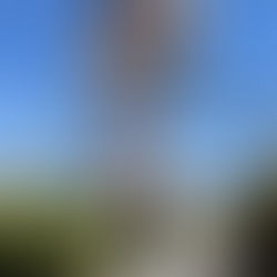 Bob Taylor's Ranch House: Las Vegas' Timeless Steakhouse Gem