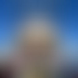 Explore Lake Mead Aboard the Desert Princess for an Unforgettable Paddleboat Adventure