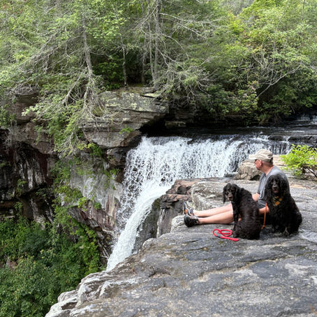 TN State Parks Hiking with Dogs