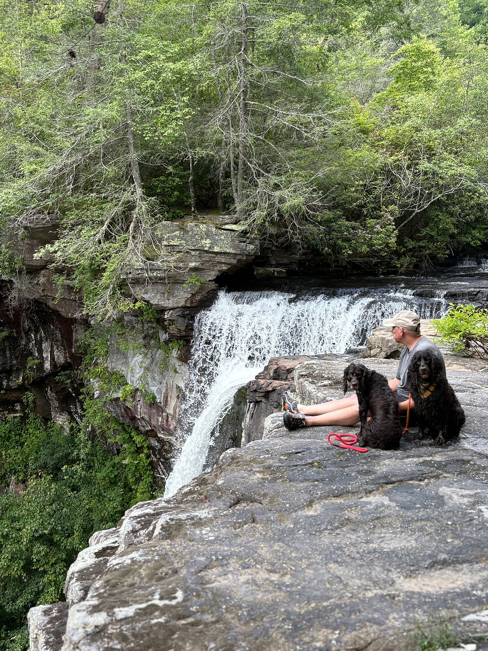 TN State Parks Hiking with Dogs