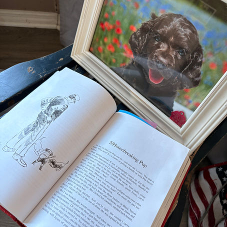 Hey Pup, Fetch it Up! The Complete Retriever Training Book by Bill Tarrant Book Recommendation 