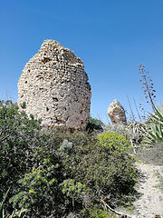 IMG-20180407-WA0007.jpg