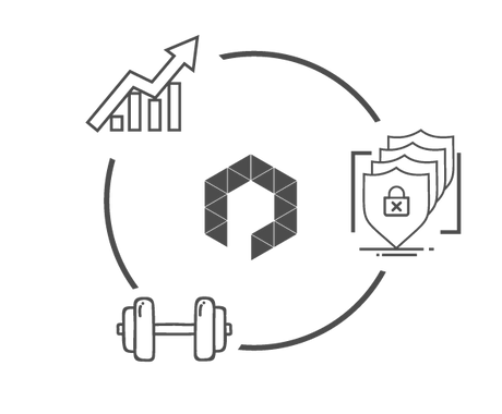 ICONOS PETRUS WEB-01.png