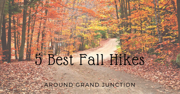 5 Best Fall Hikes Around Grand Junction