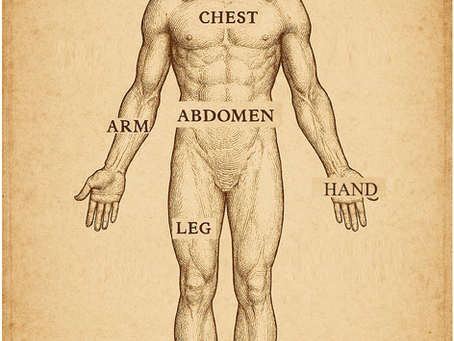 Human Physiology Understanding and exploring the last rock left unturned. 