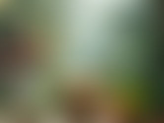 motivational-quote-312-gratitude