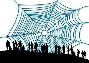 spider-web-g9d1883f37_1920.jpg