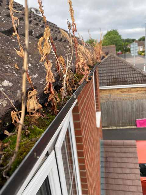 Residential gutter cleaning before