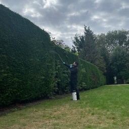 insect spray control