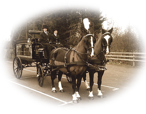 Horse and carriage