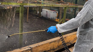 Pest control treatment