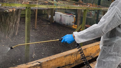 Pest control treatment