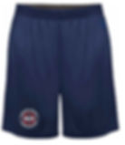 LifeStyle Workout Shorts
