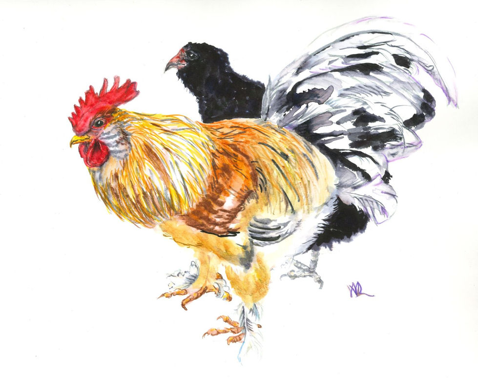 Cari's chickens, Chinese watercolor and ink