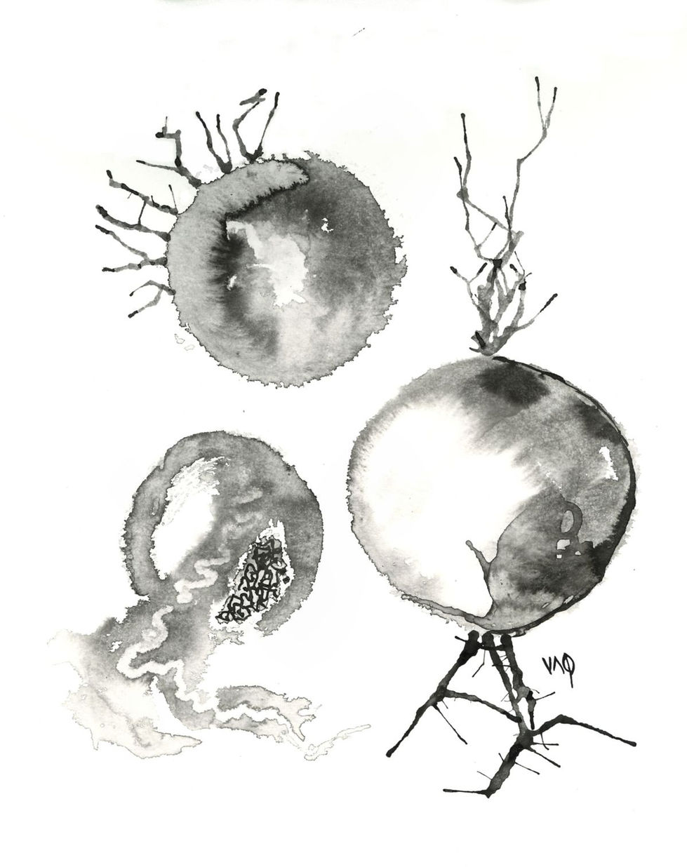 Chinese ink brush abstract inspired by organelles