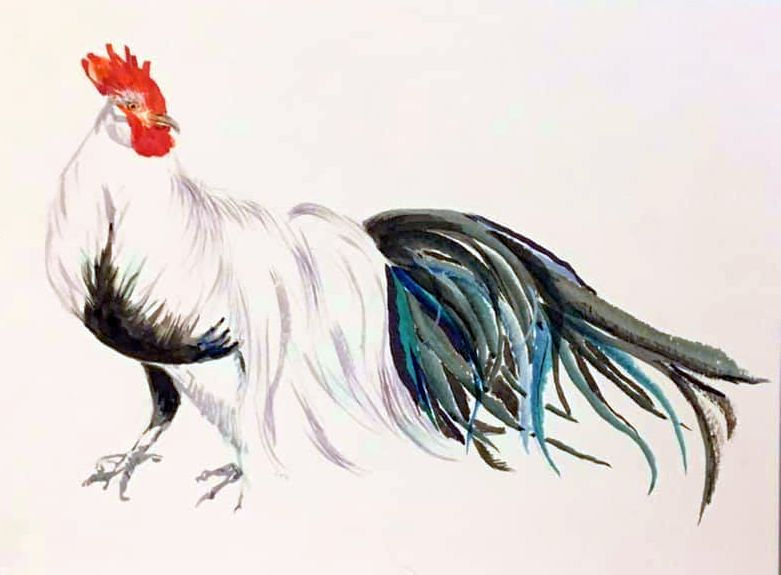 silver duck-wing phoenix bantam