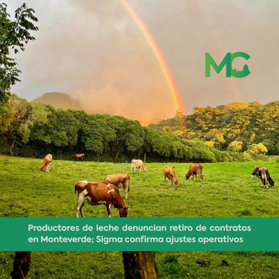 Productores de leche denuncian retiro de contratos en Monteverde; Sigma confirma ajustes operativos