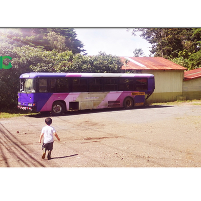 ¡De la basura al arte!