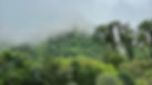 FullSizeRender 7_edited.jpg