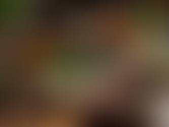 Discovering Powerful Spell Casters in Europe: Your Ultimate European Spell Caster Guidance