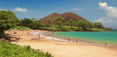 Hawaii.gif