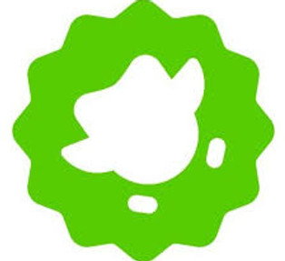 duolingo.jpeg