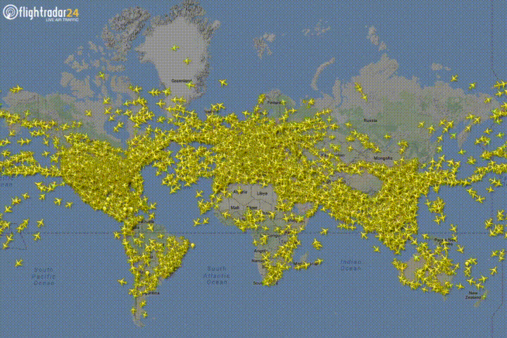 Flight Tracker.gif
