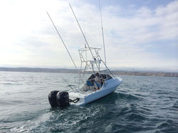 Fi2e1f4f-ab80-4b4b-8fbb-2733f26117c8