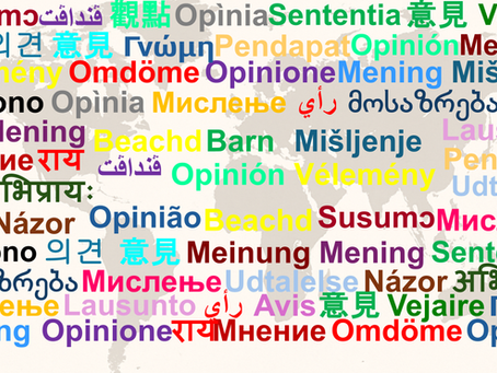 A Matter of an Opinion: Everyone has One