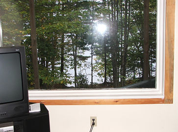 view from basement area WP.jpg
