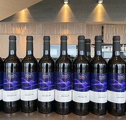 WhatsApp Image 2024-11-18 at 11.57.01.jpeg