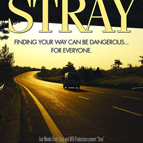Stray, un bellissimo drama-thriller