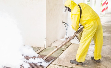 mold remediation santa monica