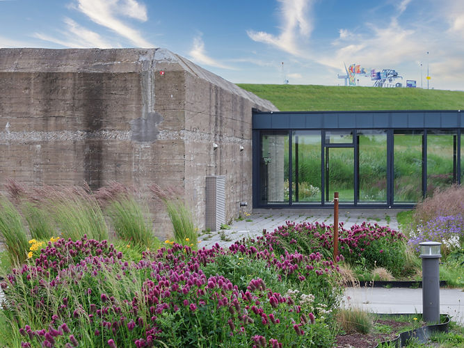 muzeeaquarium_met_tuin_juni2025 (9).jpg