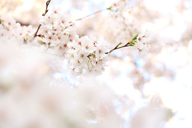 kazuend-86689-unsplash.jpg