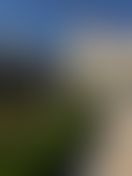 Place de la Fontaine Wallace