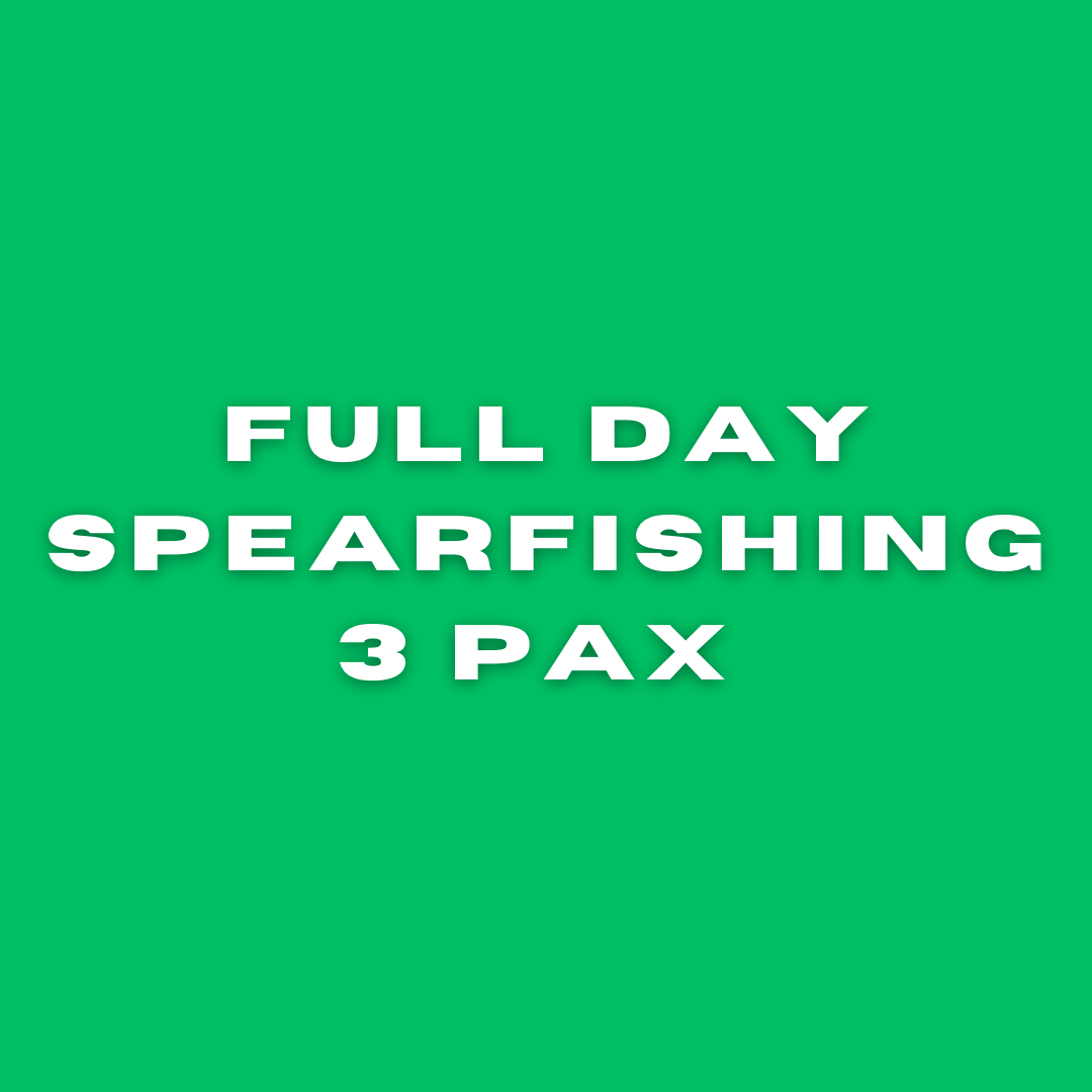 Full Day Spearfishing 3 PAX