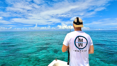Immersion Logo T Shirt In White Black Navy Blue Immersion Fiji