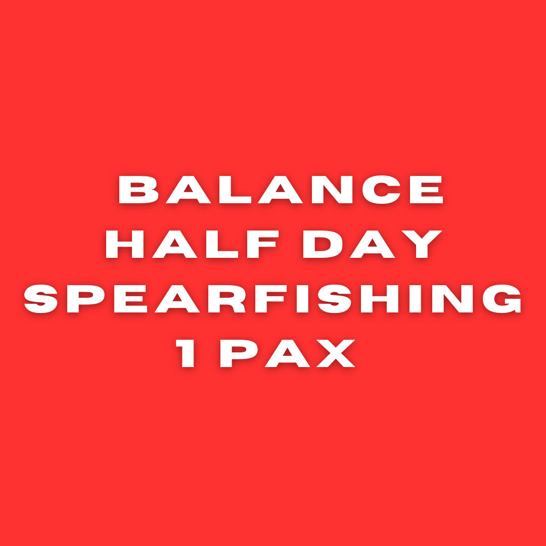 Half Day Spearfishing 1 PAX