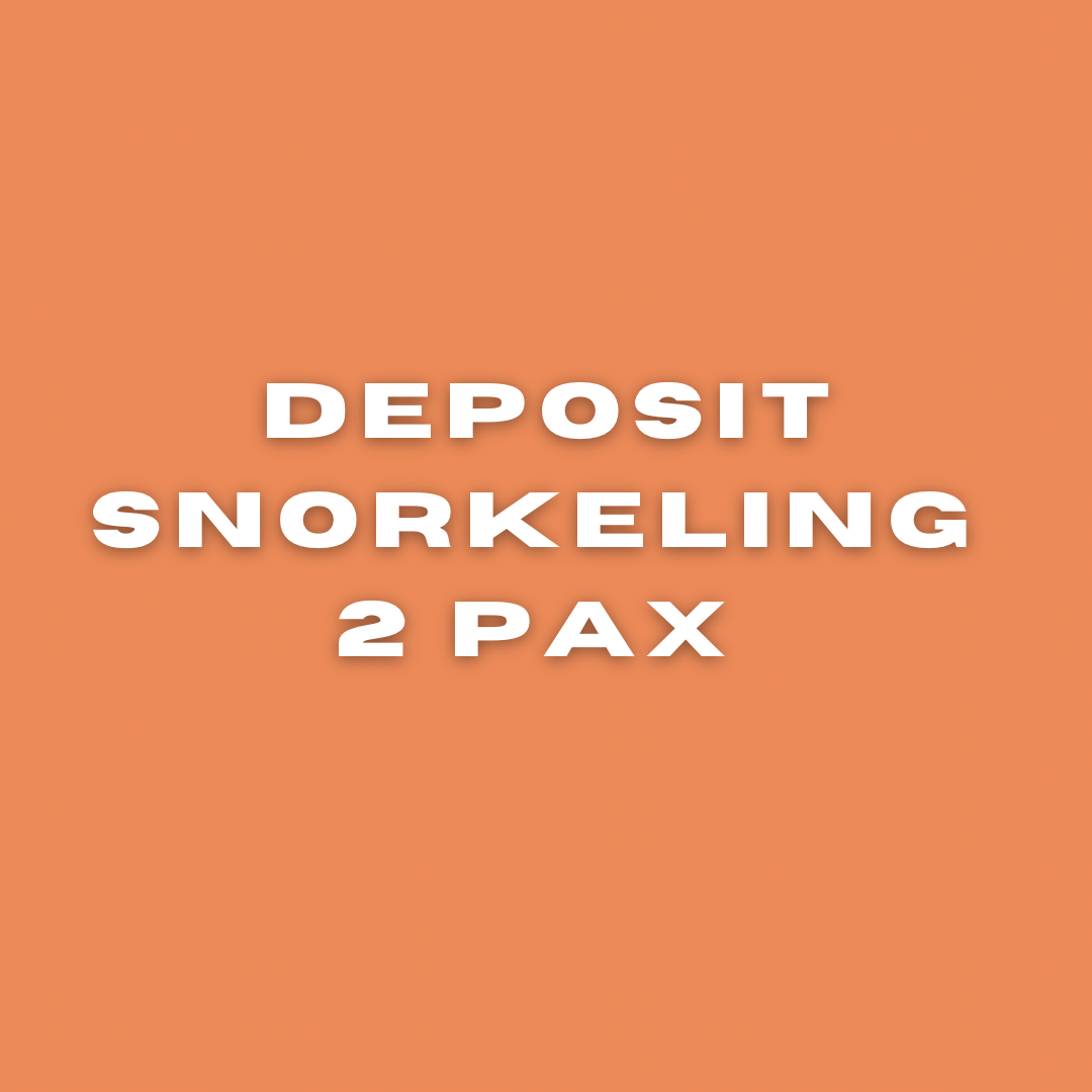 Snorkeling 2 PAX