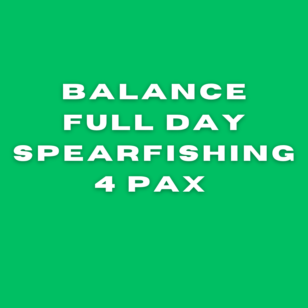Full Day Spearfishing 4 PAX Balance