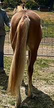 IMG_9315.JPG