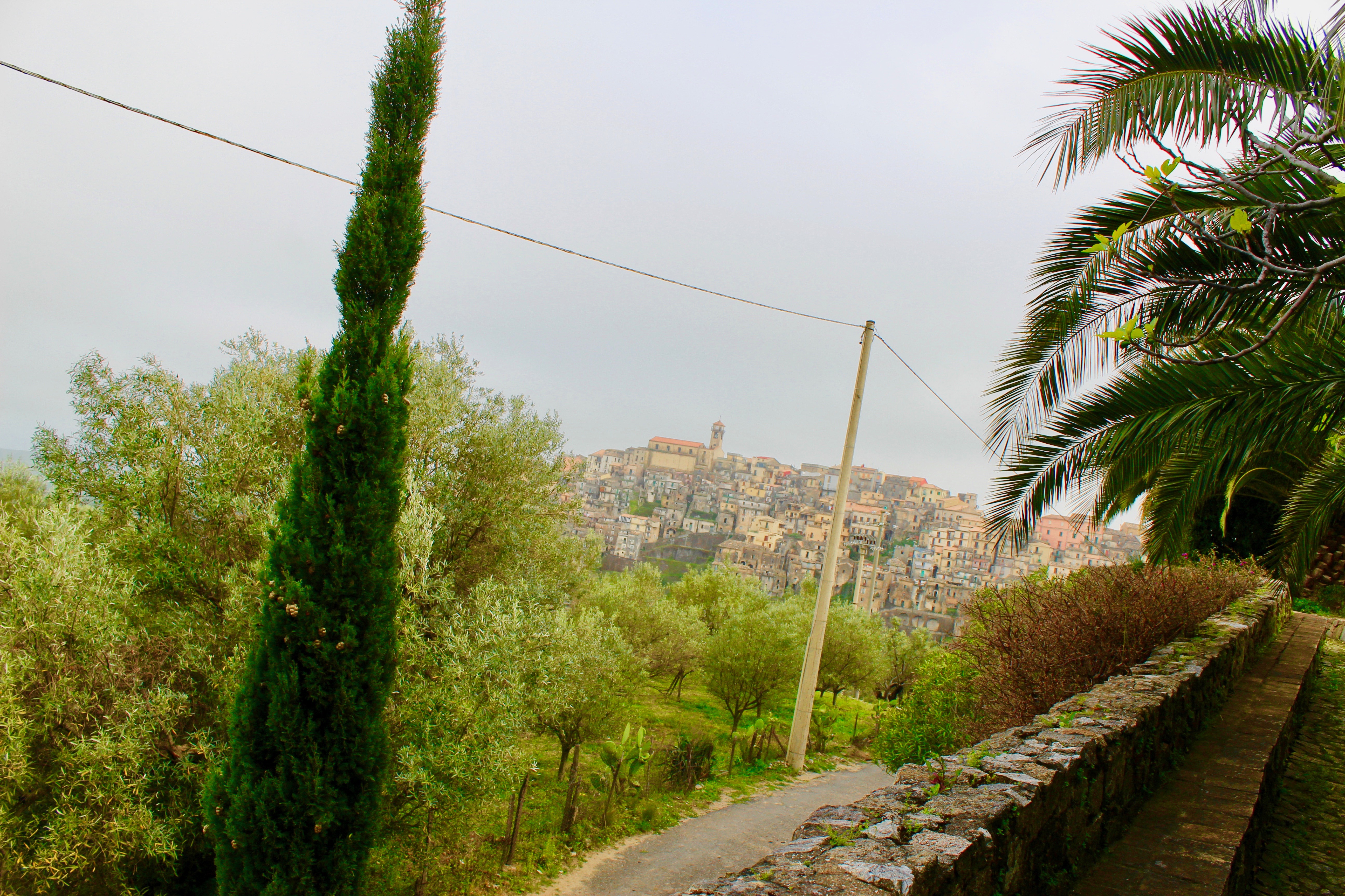VISITA AL BORGO