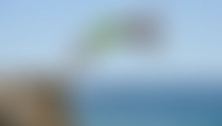 תַּקּינות פוליטית מעיקה או מקפצה לשינוי