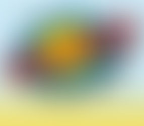 Оголошуємо челендж «МОЯ_СТУДЕНТСЬКА_СІМ’Я!»