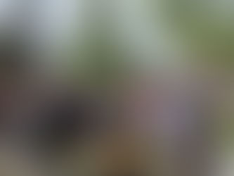 День пам`яті та перемоги