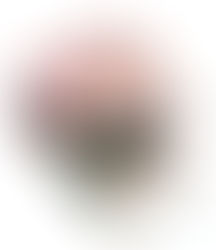 Nghệ thuật từ chối