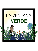 LVV_logo-_1_-_1_.png