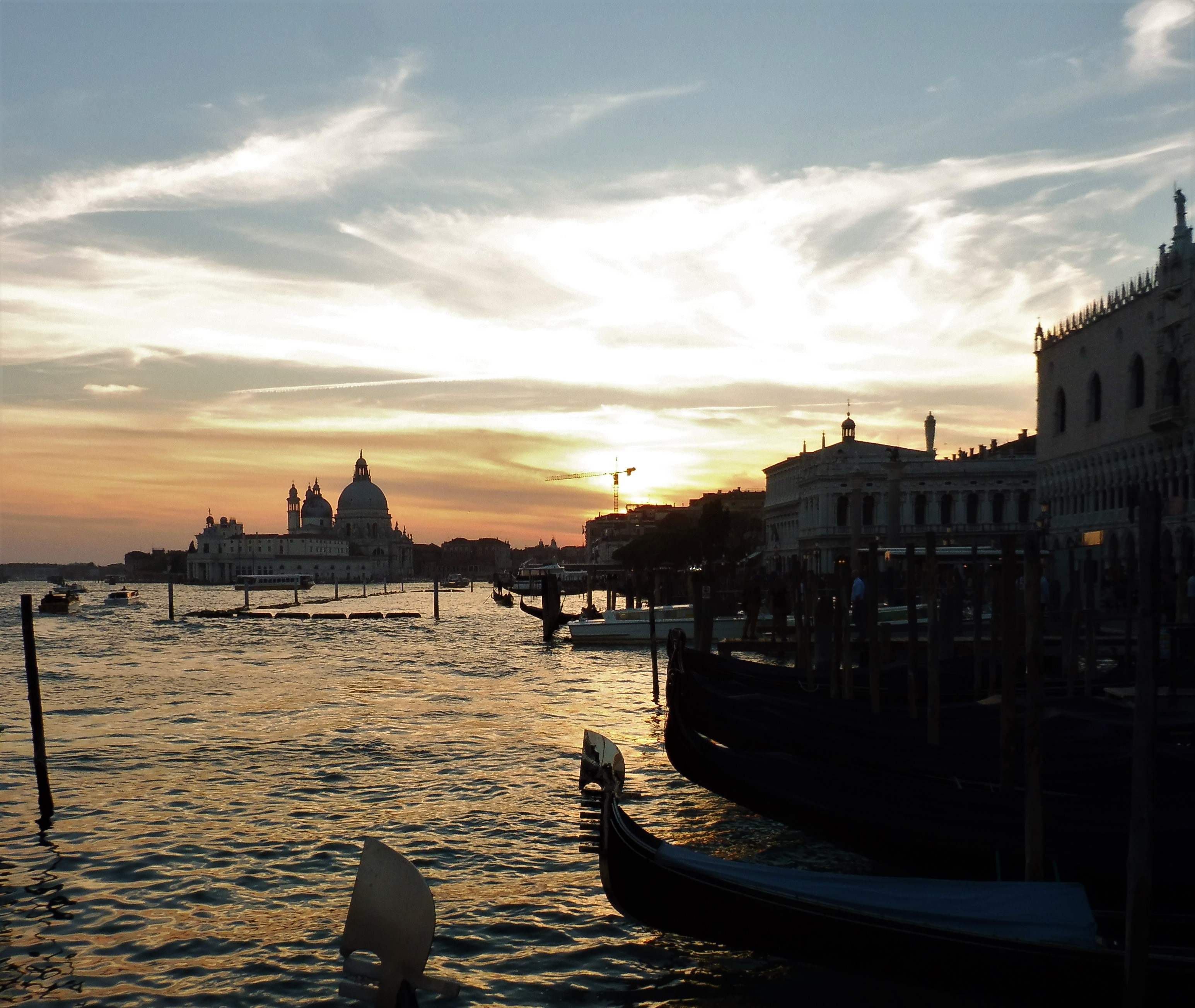 F Venice