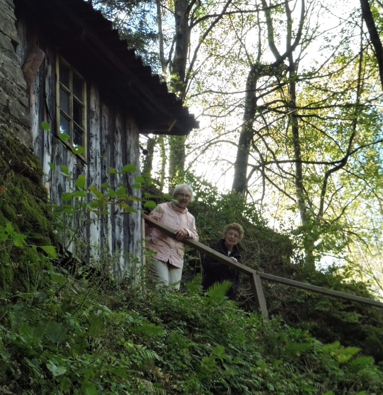 G. Ravelnik, Slovenia